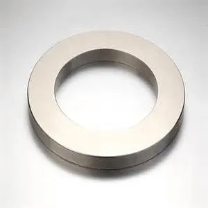 China Magnet Manufacturer Latest NdFeB Ring Magnet
